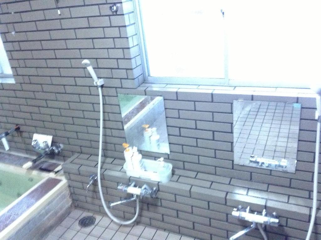 Araya Ryokan Hakuba Kültér fotó